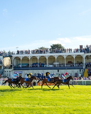 Ludlow Race Club