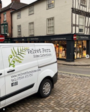Velvet Fern