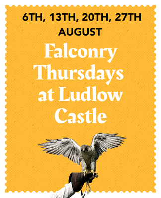 Falconry Thursdays at Ludlow Castle
