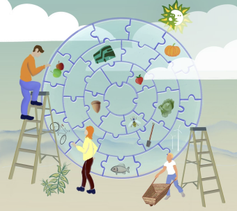 Green Festival